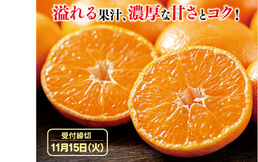 温州みかん写真