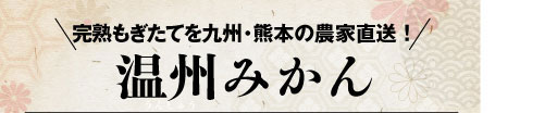 温州みかん見出し