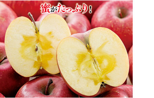 蜜入りりんご写真