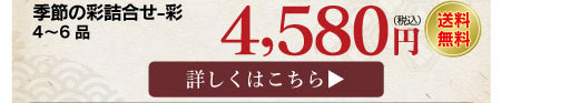 季節の詰め合わせ彩