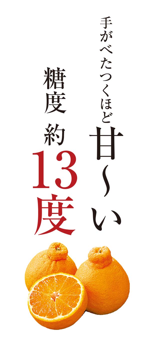 手がべたつくほど甘～い糖度 約13度