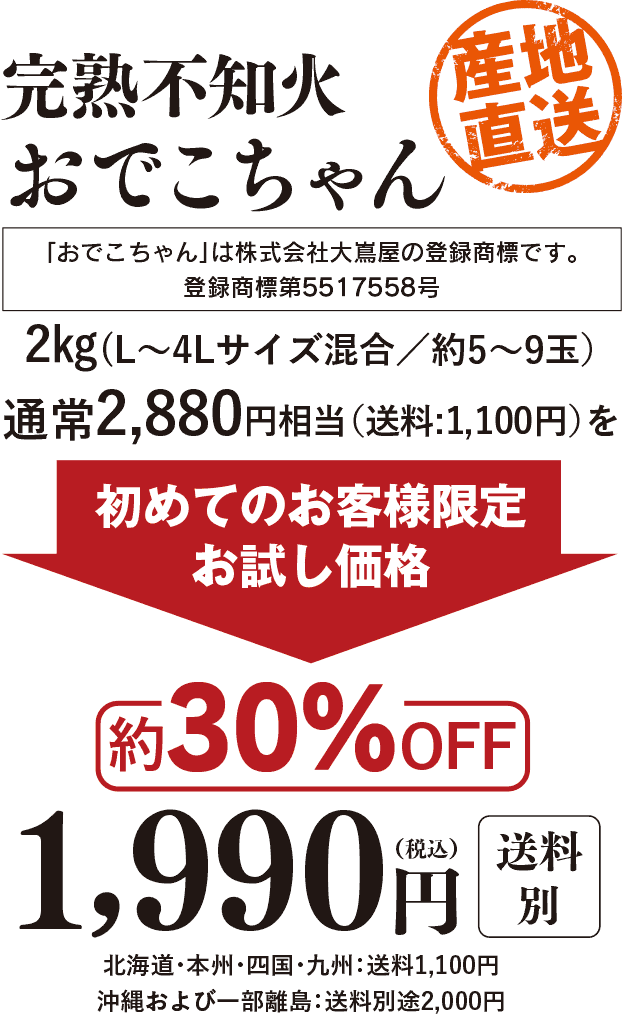 完熟不知火おでこちゃん2㎏(L～4Lサイズ混合／約5～9玉）通常2,880円相当（送料:1,100円）のところを初めてのお客様限定でお試し価格、約約30％OFFの1,990円送料別で販売いたします。