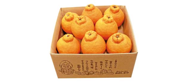 不知火おこでちゃん箱入りの写真