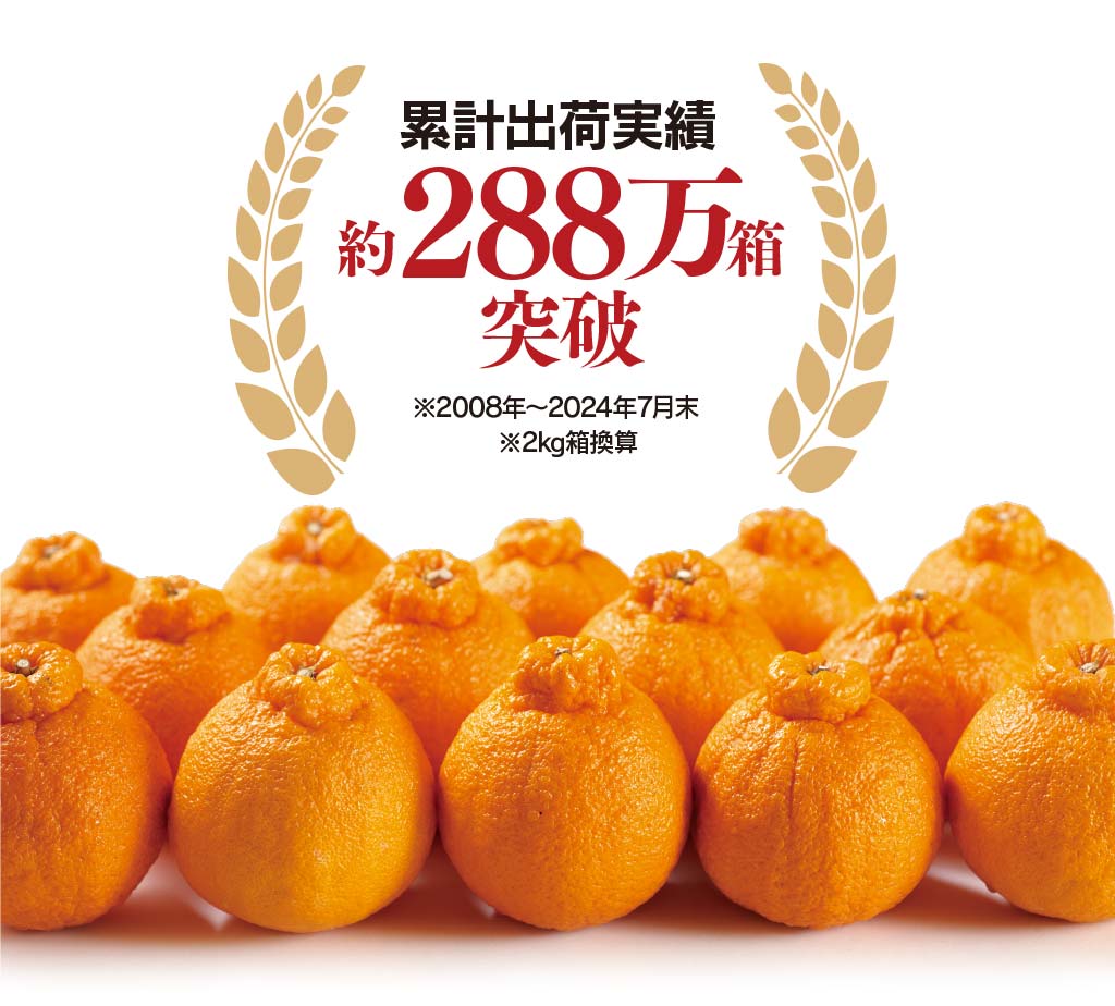 累計出荷実績約288万箱突破※2008年～2024年7月末　2kg箱換算
