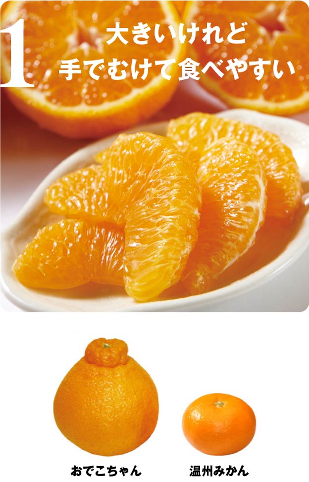 大きいけれど手でむけて食べやすい