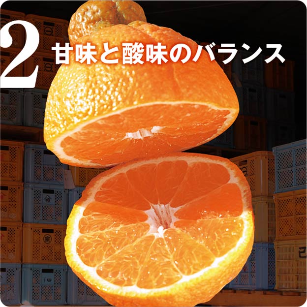 甘味と酸味のバランス