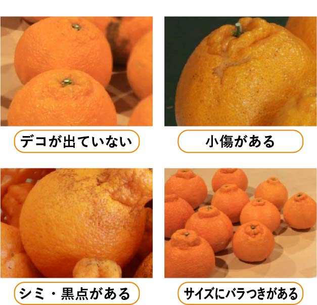 デコが出ていない、小傷がある、シミ・黒点がある、サイズにバラつきがある。