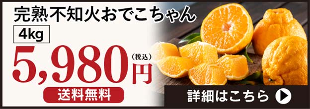 完熟不知火おでこちゃん4kg入り5980円送料無料