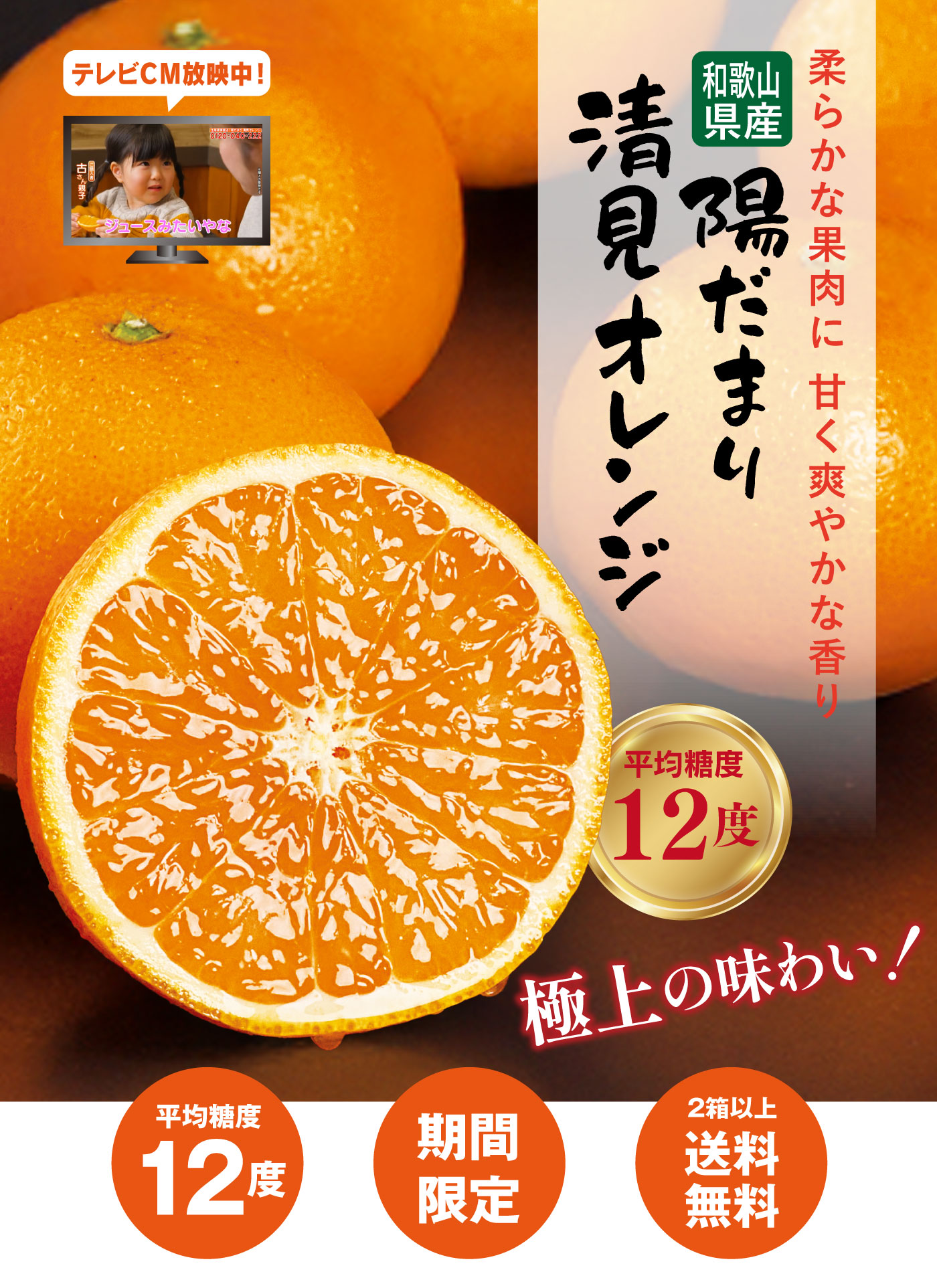 初回限定】清見オレンジ 2kg 1,990円 約6-11玉前後 送料別＜同住所に2