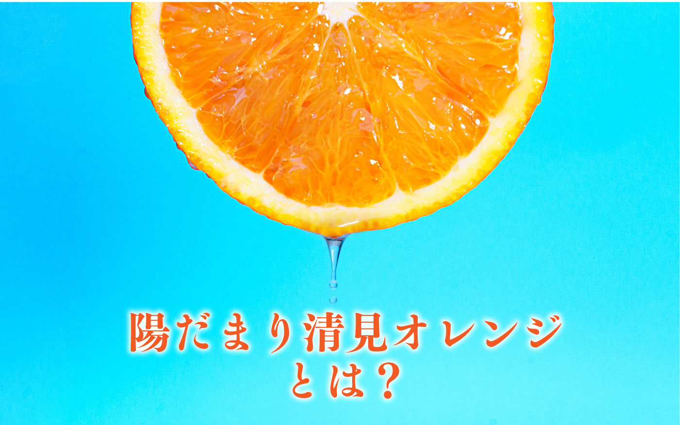 初回限定】清見オレンジ 2kg 1,990円 約6-11玉前後 送料別＜同住所に2