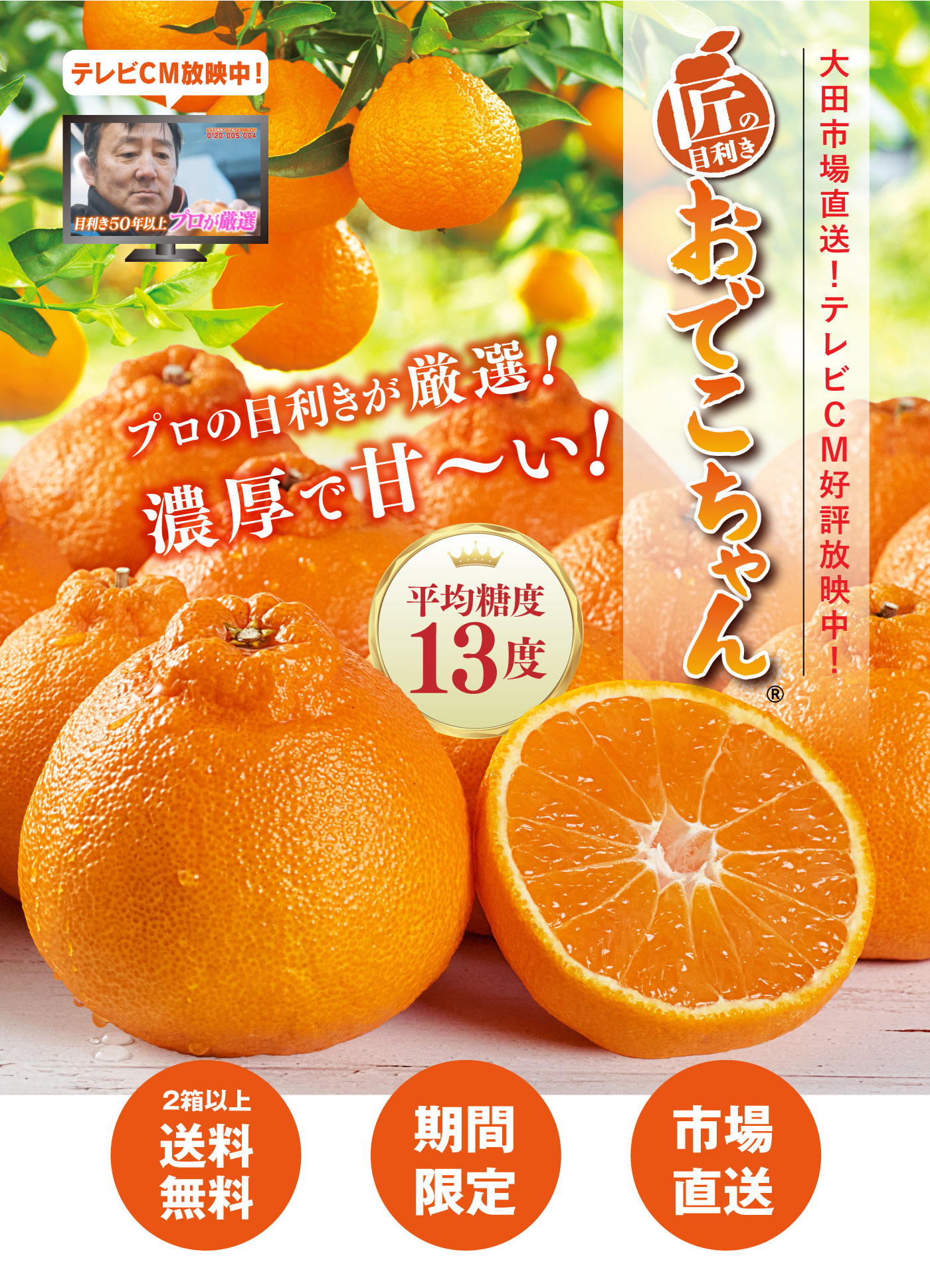 初回限定】匠の目利きおでこちゃん 2kg 1,990円 約6-11玉前後 送料別