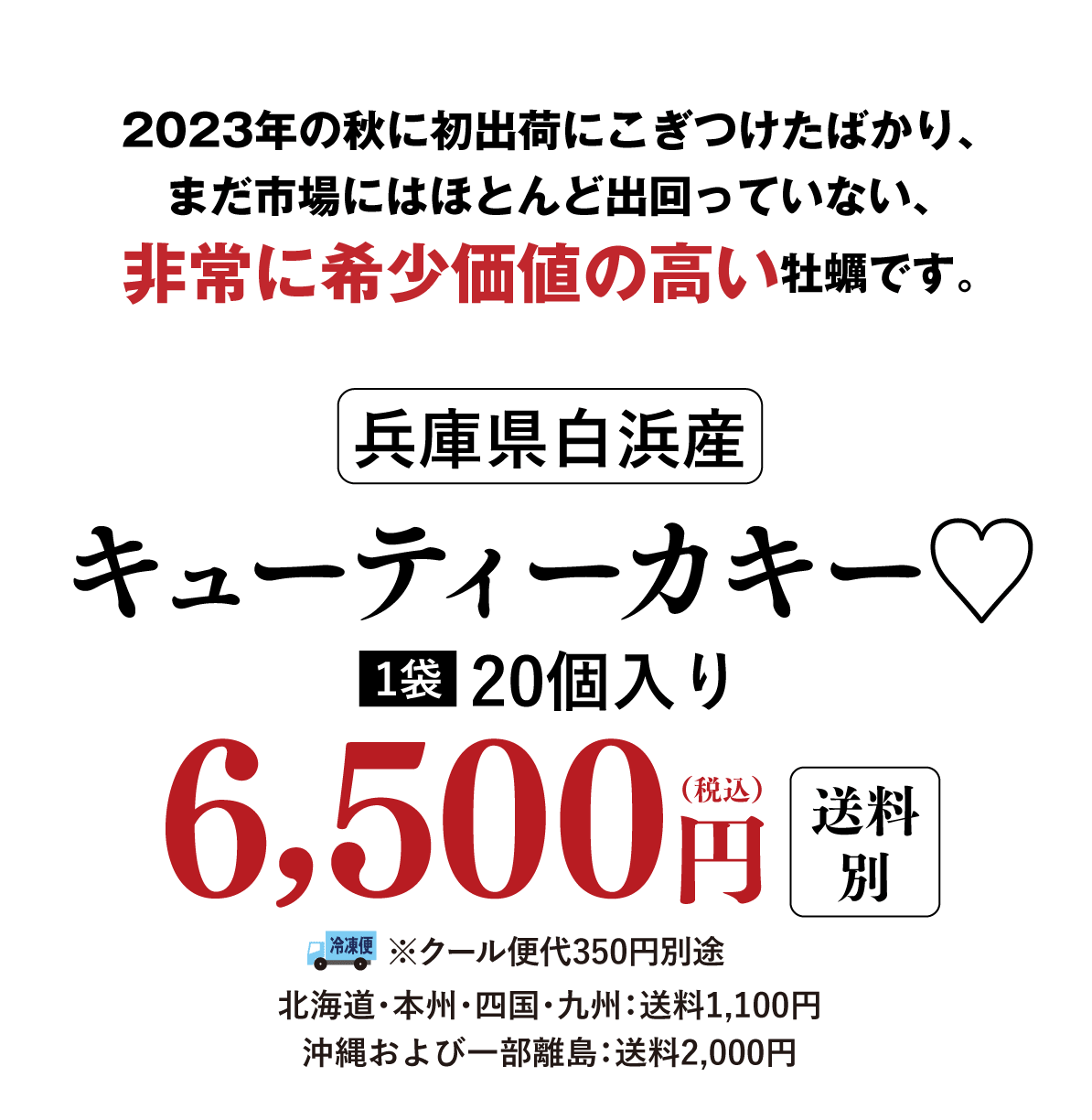 2023年に初出荷にこぎつけたばかり、市場にほとんど出回っていない希少な牡蠣です