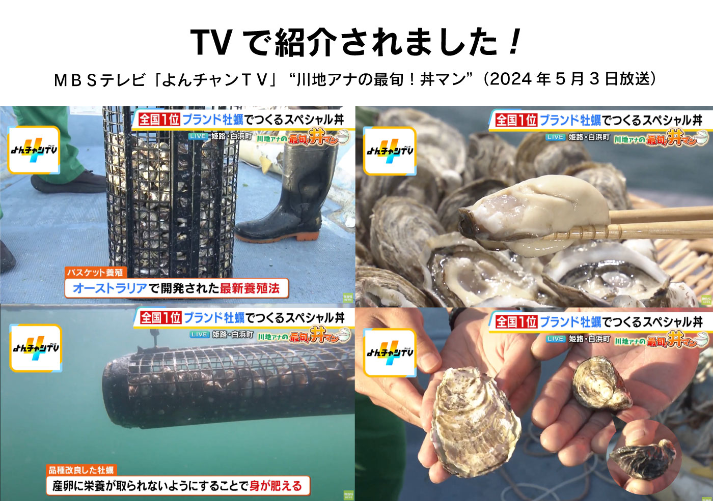 テレビでご紹介されました。