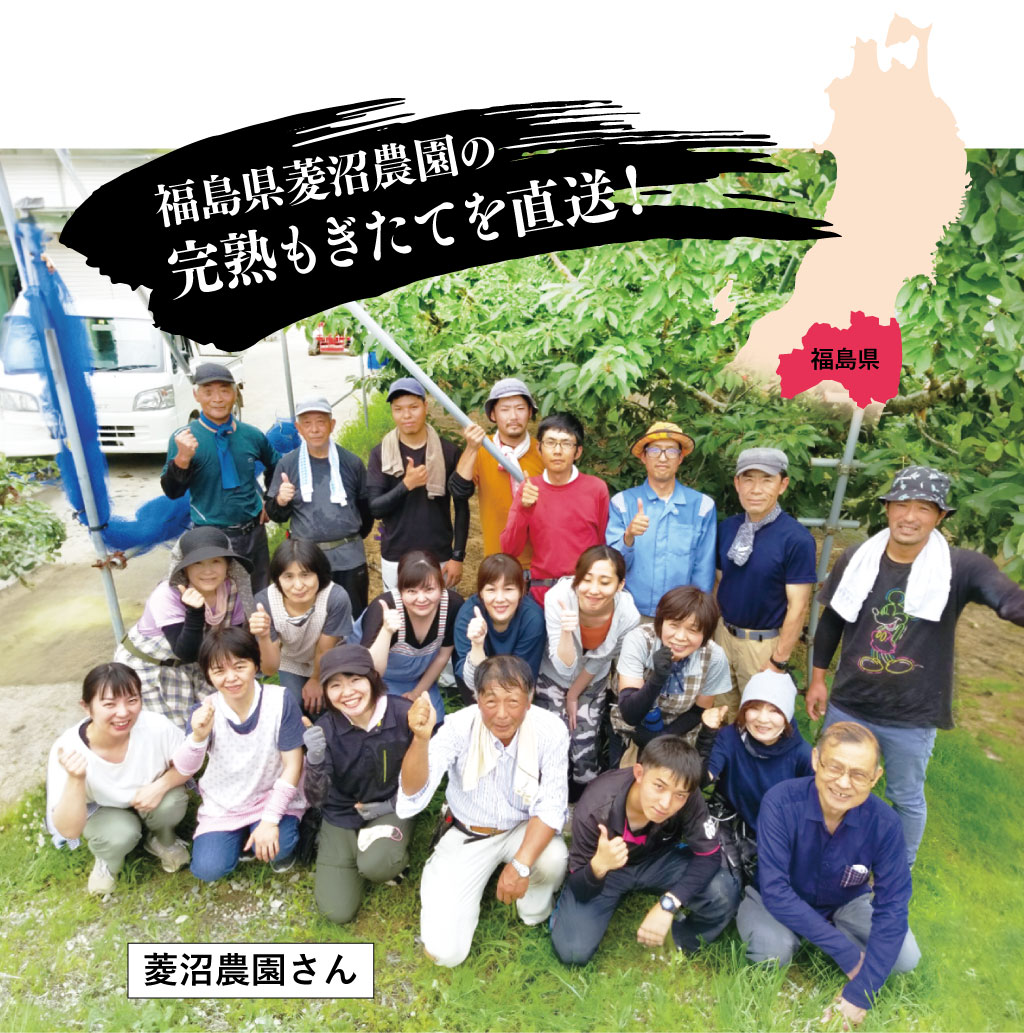 皮ごと食べられるあま〜い福島の桃を送料無料で7月〜9月限定、朝採れ直送でお届けします。