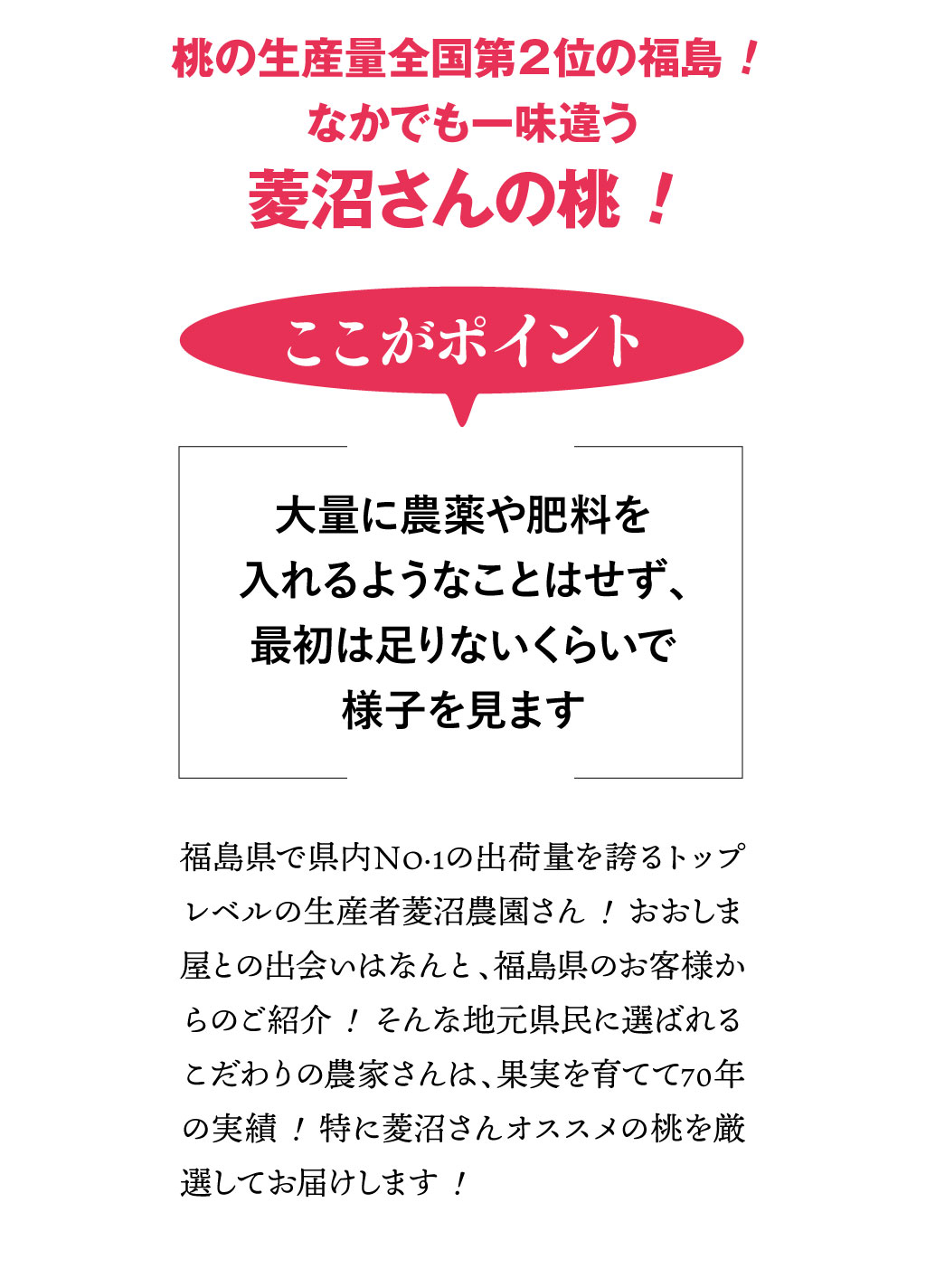皮ごと食べられるあま〜い福島の桃を送料無料で7月〜9月限定、朝採れ直送でお届けします。