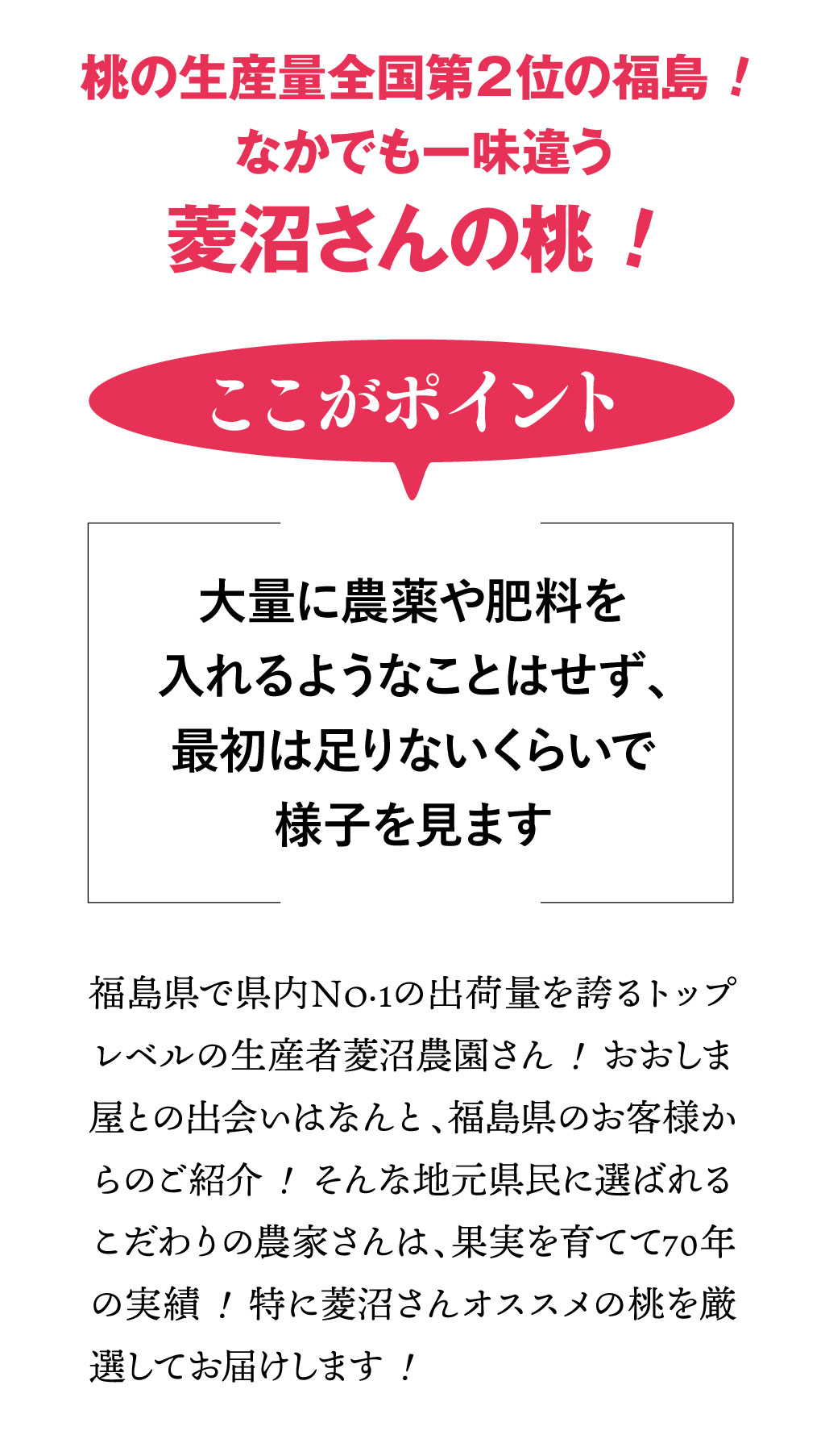 皮ごと食べられるあま〜い福島の桃を送料無料で7月〜9月限定、朝採れ直送でお届けします。