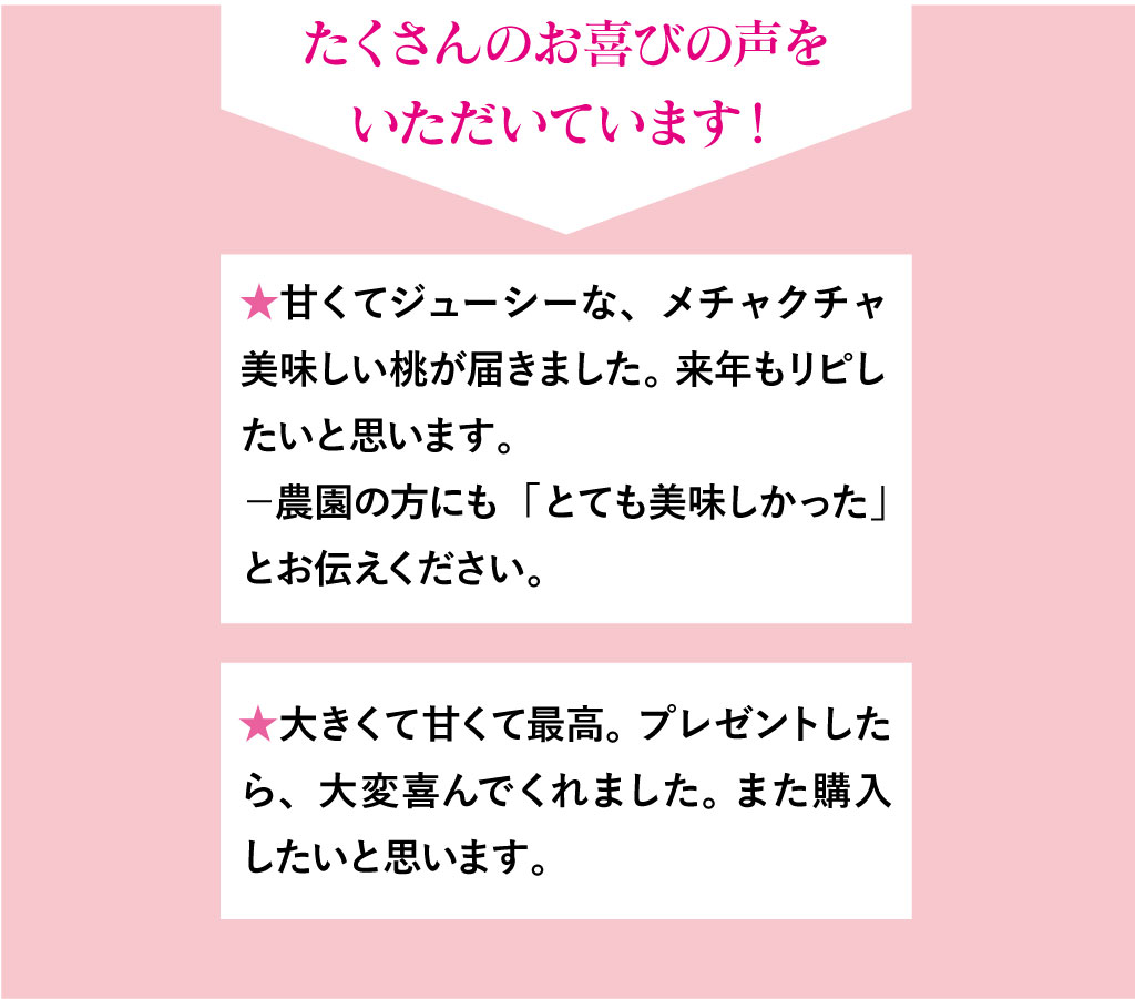皮ごと食べられるあま〜い福島の桃を送料無料で7月〜9月限定、朝採れ直送でお届けします。