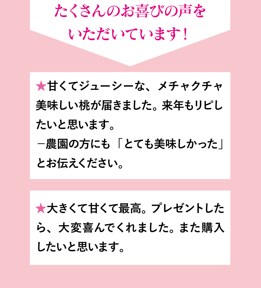 皮ごと食べられるあま〜い福島の桃を送料無料で7月〜9月限定、朝採れ直送でお届けします。