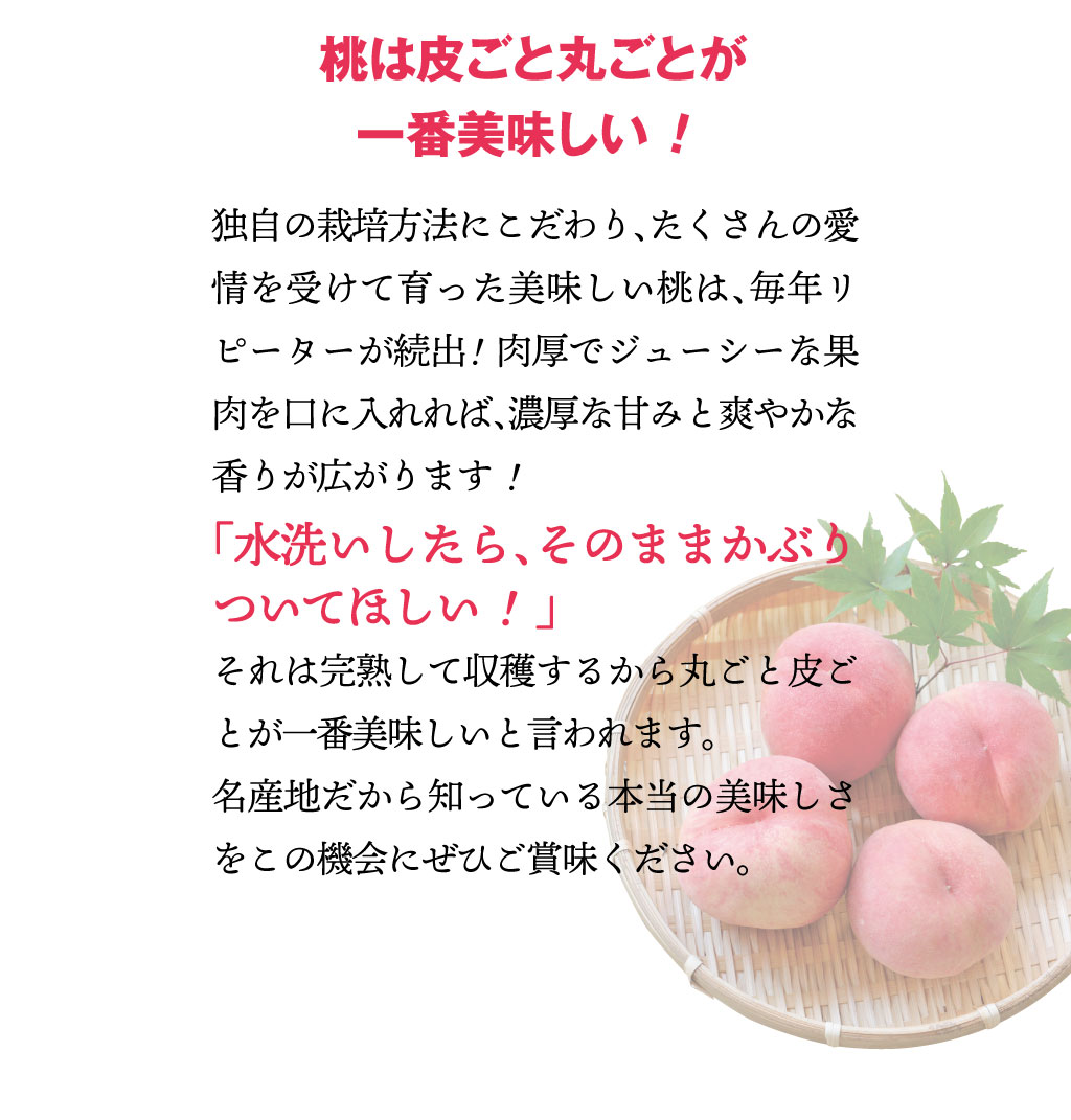 皮ごと食べられるあま〜い福島の桃を送料無料で7月〜9月限定、朝採れ直送でお届けします。