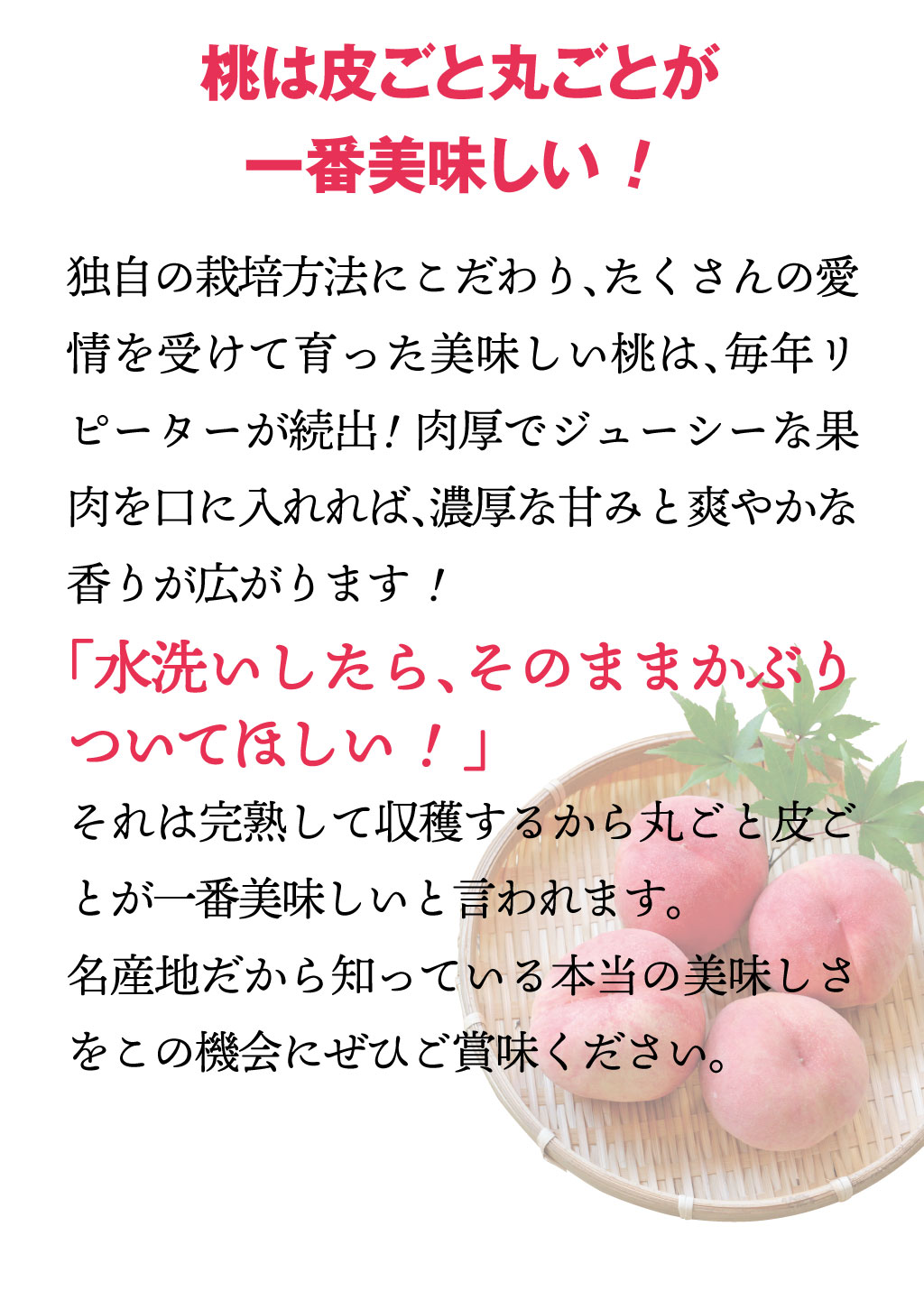 皮ごと食べられるあま〜い福島の桃を送料無料で7月〜9月限定、朝採れ直送でお届けします。