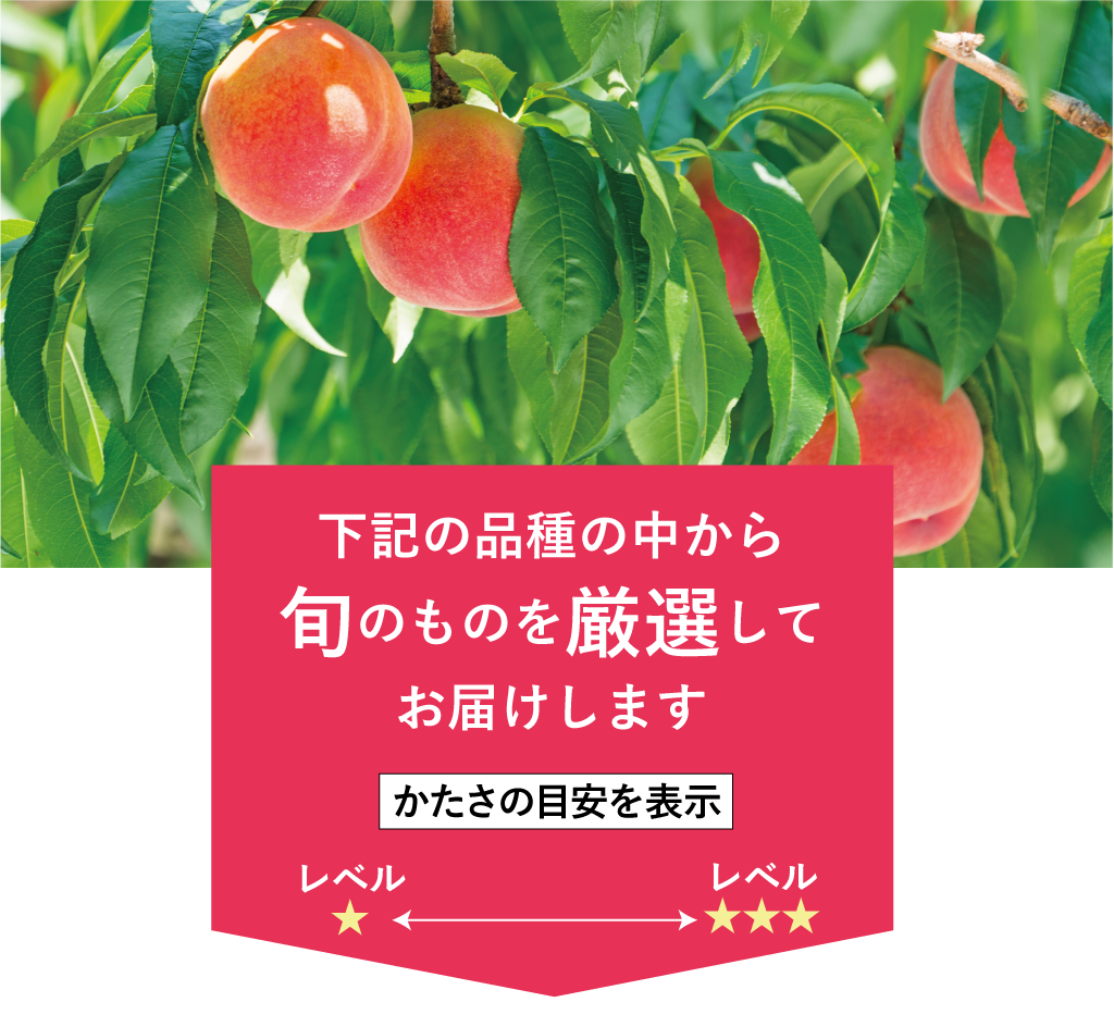 下記の品種から厳選して旬の桃をお届けします。