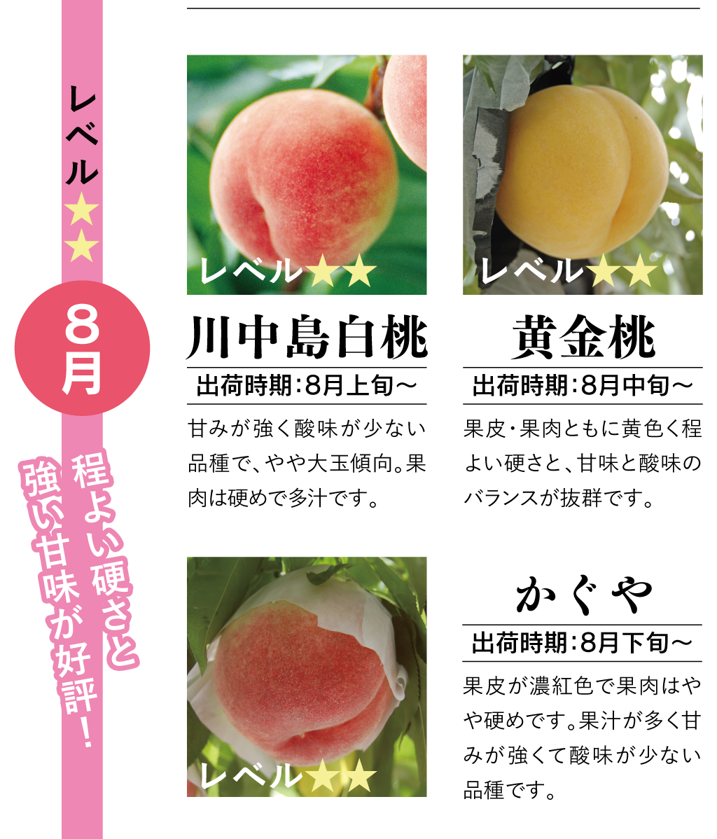 8月のモモ一覧