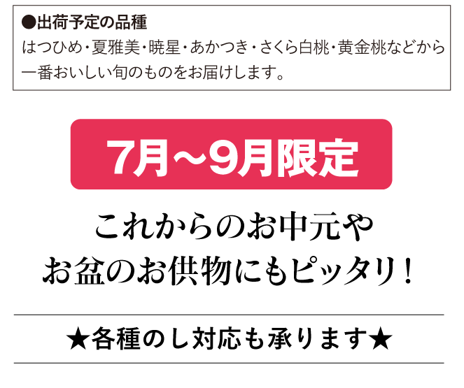 皮ごと食べられるあま〜い福島の桃を送料無料で7月〜9月限定、朝採れ直送でお届けします。