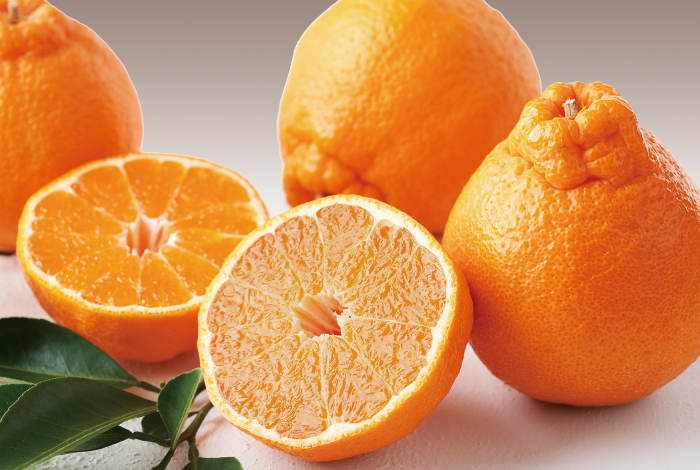 おでこちゃん(デコポン)