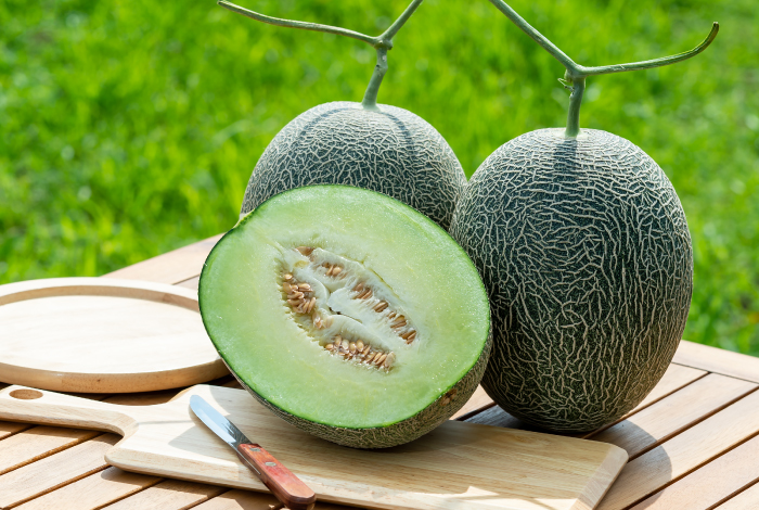 肥後グリーンメロン