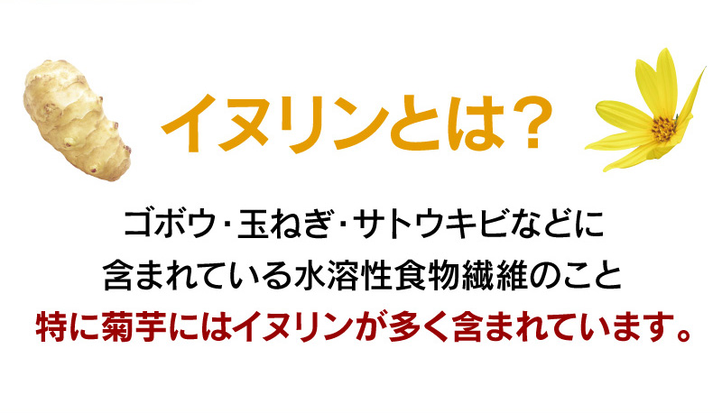 イヌリンとは水溶性植物繊維のこと