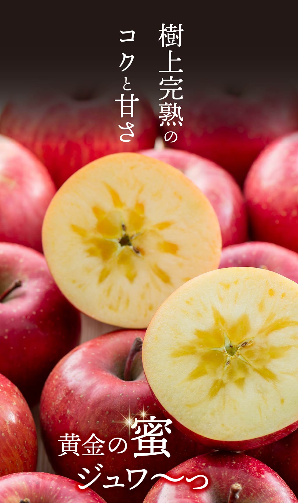 樹上完熟のコクと甘さ、黄金の蜜がじゅわー。