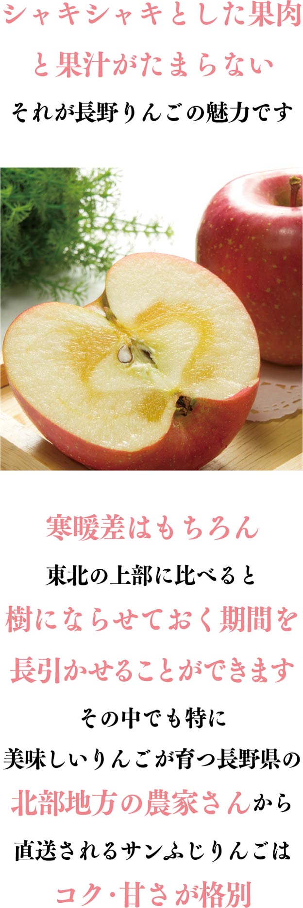 シャキシャキとした果肉と果汁がたまらないそれが長野りんごの魅力です。寒暖差はもちろん東北の上部に比べると樹にならせておく期間を長引かせることができます。その中でも特に美味しいりんごが育つ長野県の北部地方の農家さんから直送されるサンふじりんごはコク・甘さが格別です。