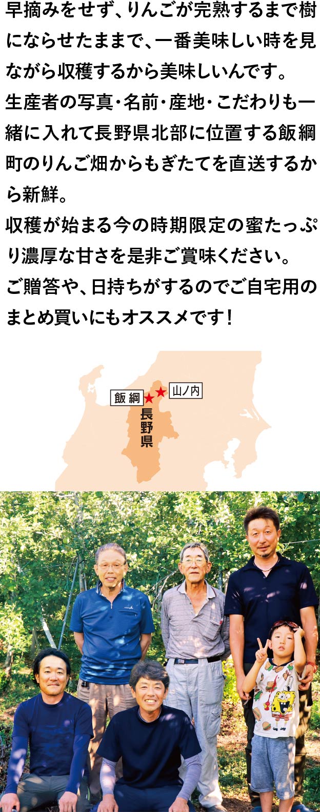 早摘みをせず、りんごが完熟するまで樹にならせたままで、一番美味しい時を見ながら収穫するから美味しいんです。生産者の写真・名前・産地・こだわりも一緒に入れて長野県北部に位置する飯綱町のりんご畑からもぎたてを直送するから新鮮。収穫が始まる今の時期限定の蜜たっぷり濃厚な甘さを是非ご賞味ください。ご贈答や、日持ちがするのでご自宅用のまとめ買いにもオススメです！