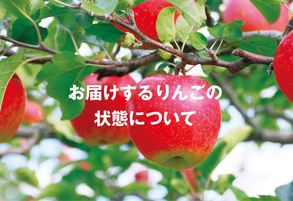 お届けするりんごの状態について