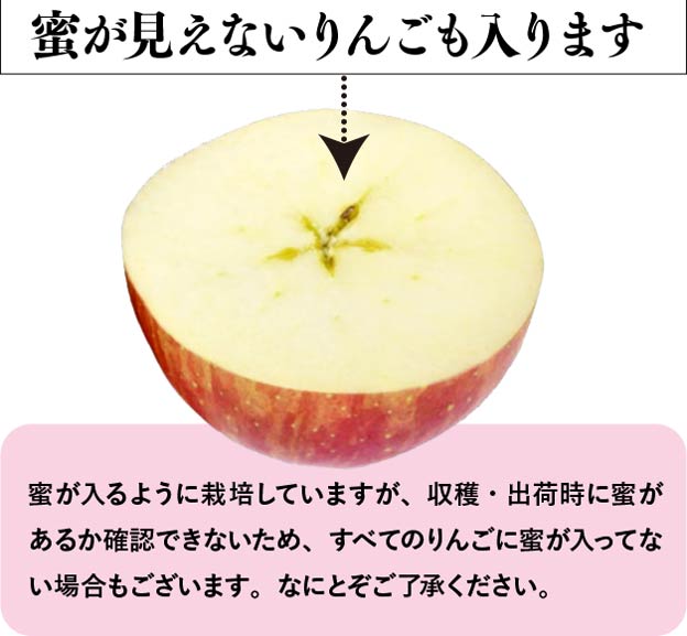蜜が見えないりんごも入ります。蜜が入るように栽培していますが、収穫・出荷時に蜜があるか確認できないため、すべてのりんごに蜜が入ってない場合もございます。なにとぞご了承ください。