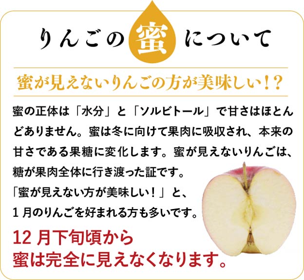 りんごの蜜について。蜜が見えないりんごの方が美味しい！？蜜の正体は「水分」と「ソルビトール」で甘さはほとんどありません。蜜は冬に向けて果肉に吸収され、本来の甘さである果糖に変化します。蜜が見えないりんごは、糖が果肉全体に行き渡った証です。「蜜が見えないりんご方が美味しい」と1月のりんごを好まれる方も多いです。12月下旬頃から蜜は完全に見えなくなります。