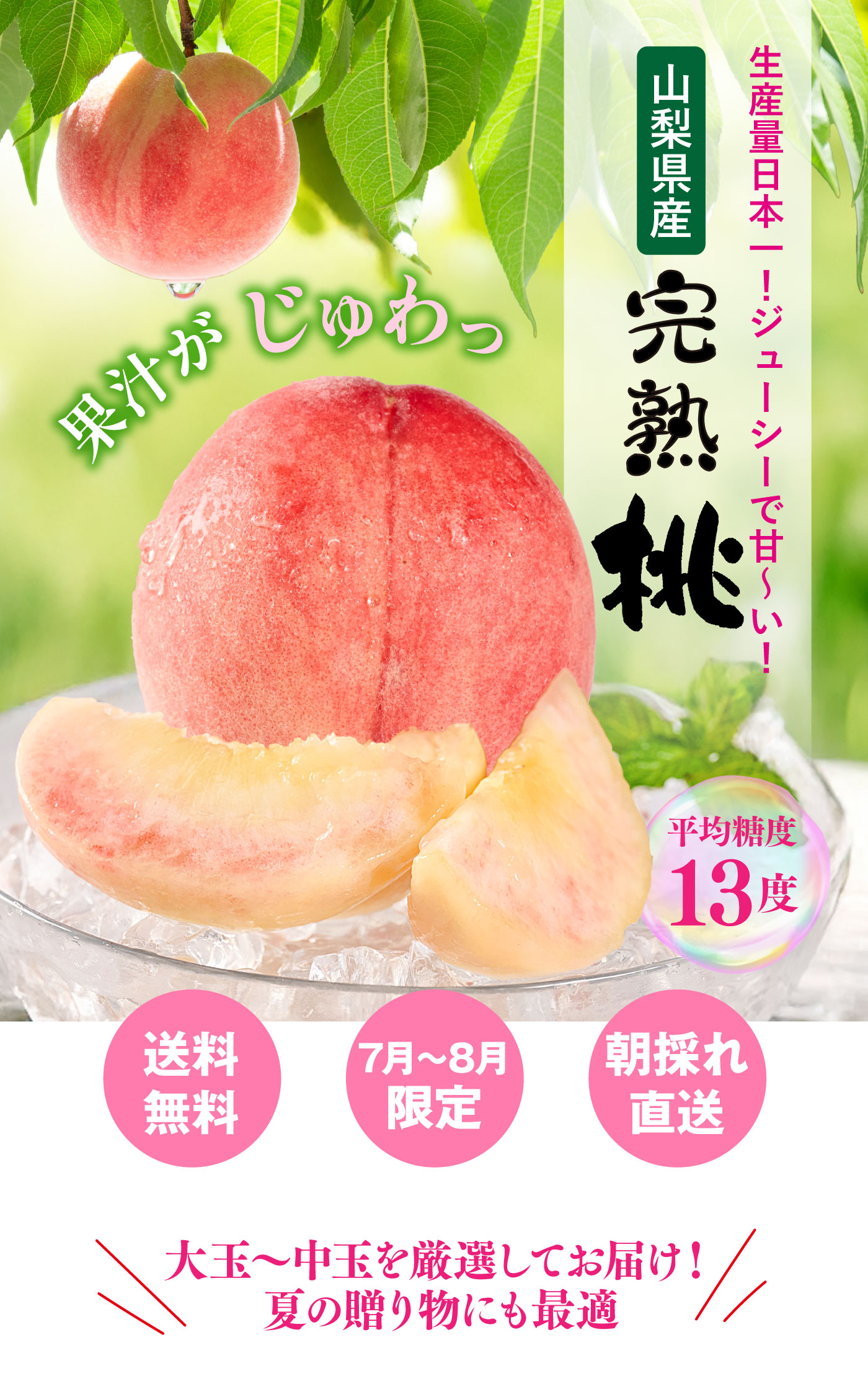 桃梨 初回限定】山梨の桃 1kg 送料別＜同住所に2セット以上で送料無料＞