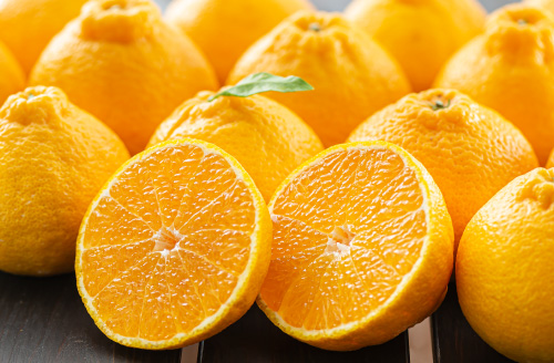 不知火完熟おでこちゃん