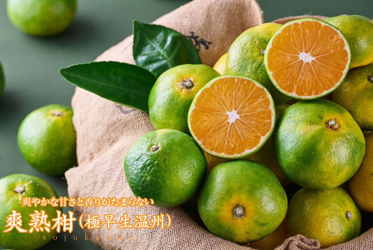 爽熟柑