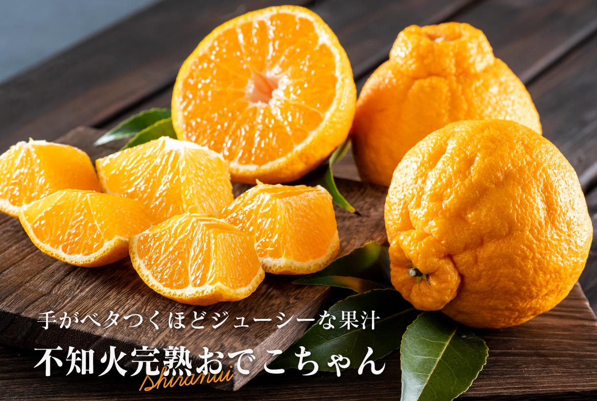 不知火完熟おでこちゃん