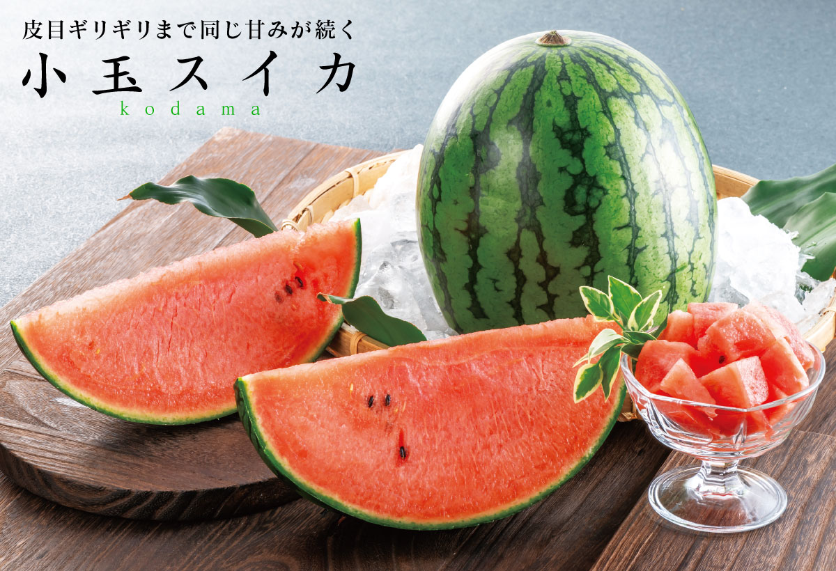小玉スイカ