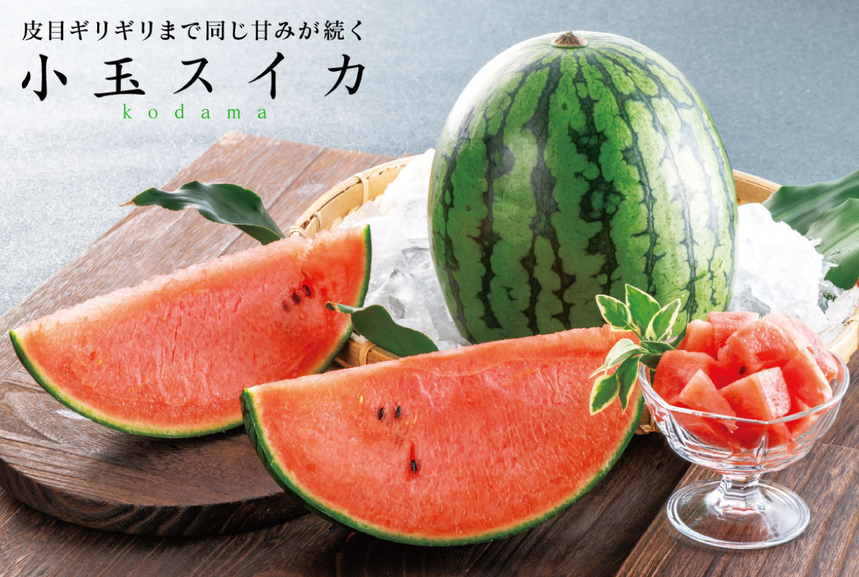 小玉スイカ