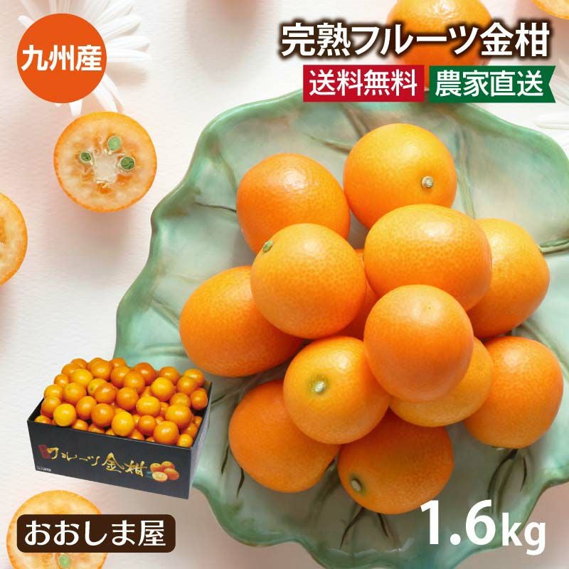 金柑 今年も盛り上げる！金柑の季節は「KINKAN FESTA2025」 - たかちほ まびぃ