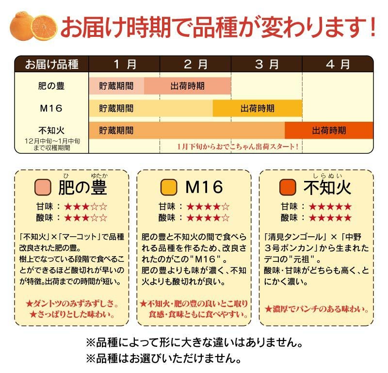 不知火完熟おでこちゃん