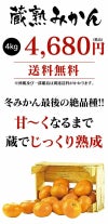 蔵熟みかん