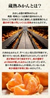 蔵熟みかん