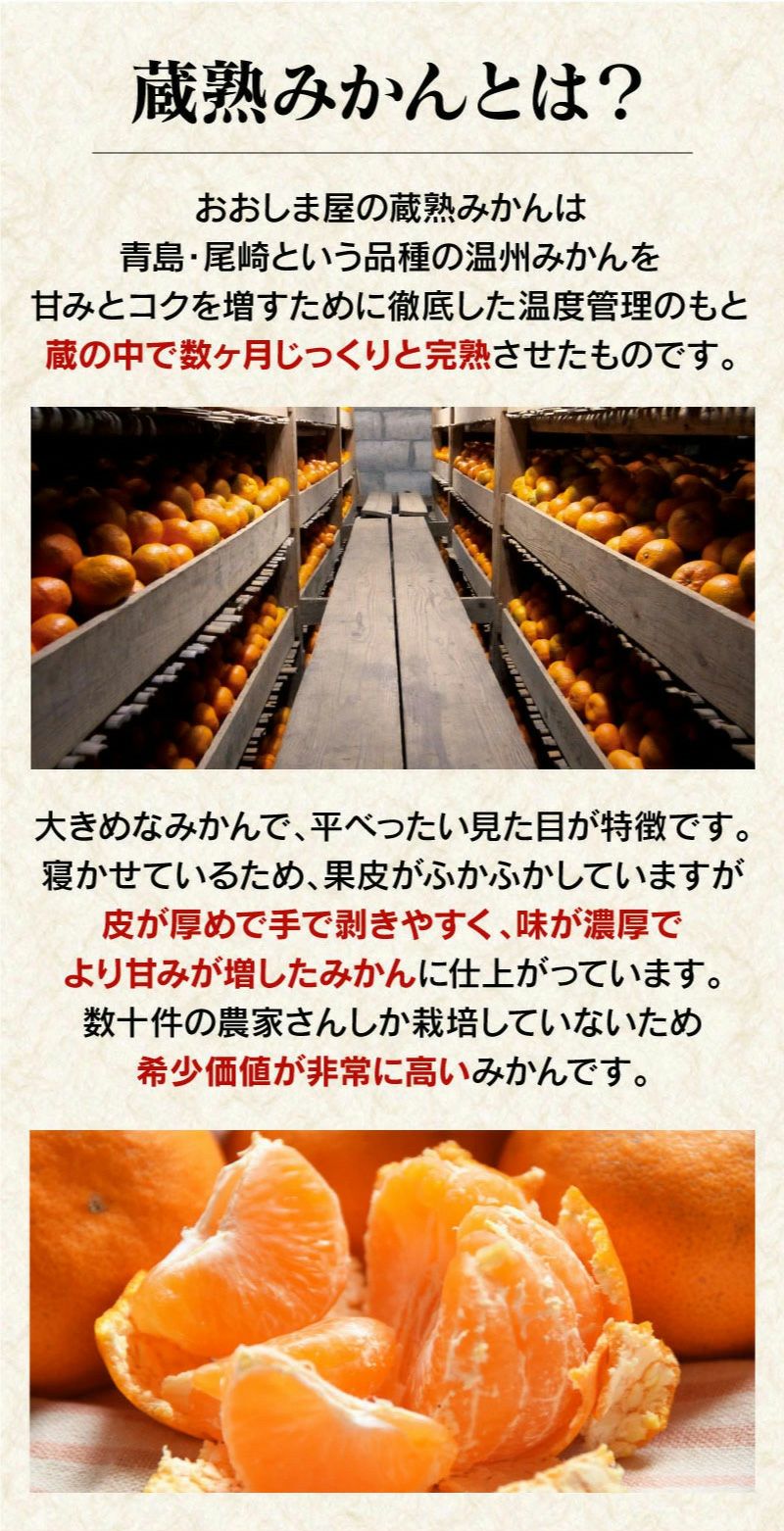 蔵熟みかん
