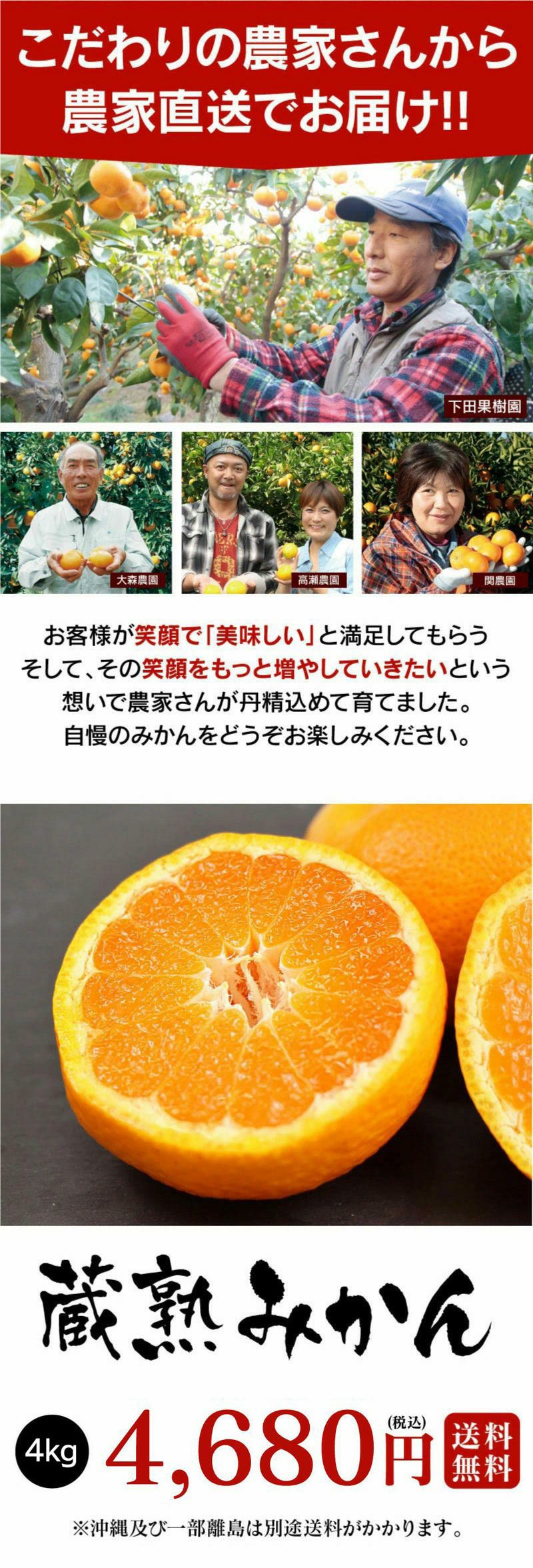 まつ! 樹熟大坊みかん 秀優品(家庭用傷あり)サイズ9kg 楽天市場】 三ヶ日みかん : フルーツ SHOMEIDO
