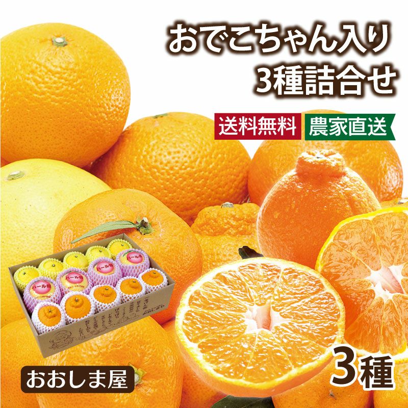 デコポン・不知火 おでこちゃんの選び方 | おおしま屋（大嶌屋）