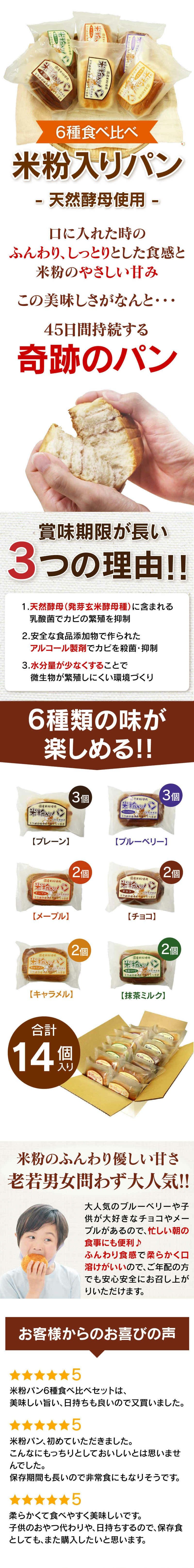 米粉入りパン 6種食べ比べセット 送料無料 天然酵母パン 国産米粉 パン